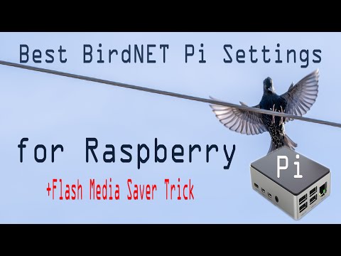 Best BirdNET Pi Settings for Raspberry Pi - Plus Secret Flash Media Saver Trick!