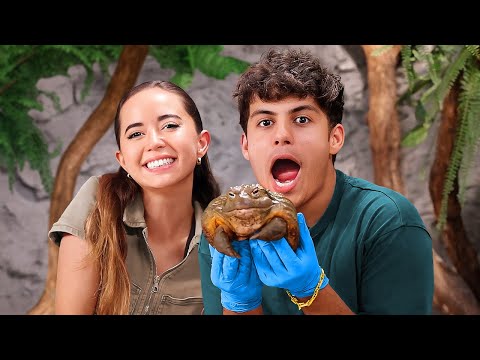 I Went To Maya Higa's Alveus Sanctuary!