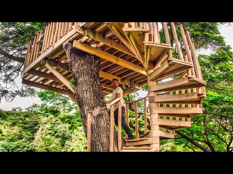 He Built a Secret Treehouse Deep in the Forest - No One Knows It Exists! ( by @ArtSportArtSport )
