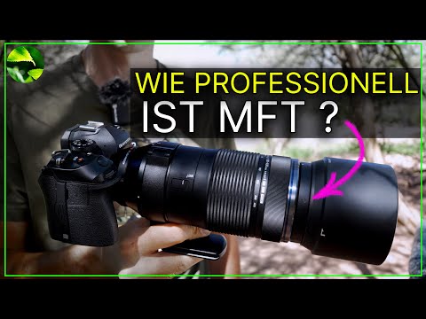 The truth about MFT 📸 Are the prejudices right or wrong?