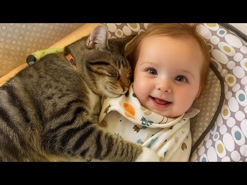 When Your Cats Prove They're the Best Bodyguards ❤️