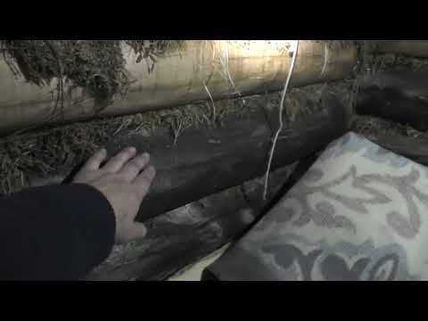 Как однажды шатун пришел в избу!!!