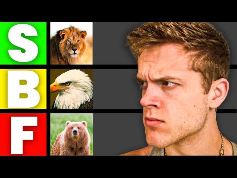 What Animals Could I Beat In A Fight?