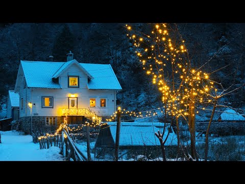 Lighting Up Our Farm with 1,000 Christmas Lights