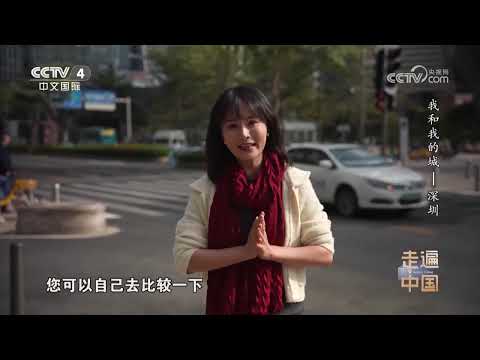 《走遍中国》 20240206 我和我的城——深圳|CCTV中文