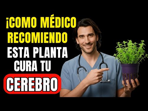 6 Plantas Que un Neurólogo Recomienda Proteger El Cerebro