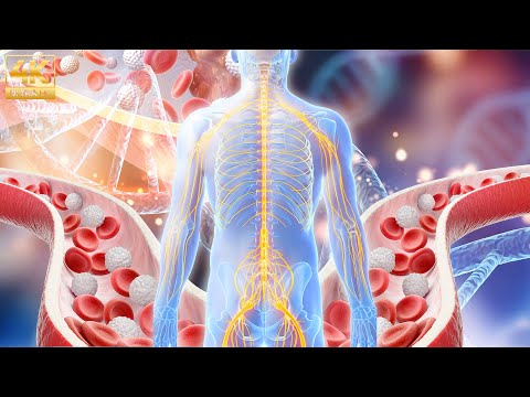 528Hz - Try Listening For 8 Minutes & Your Life Will Change Forever 🌸Alpha Waves Heal The Whole #1