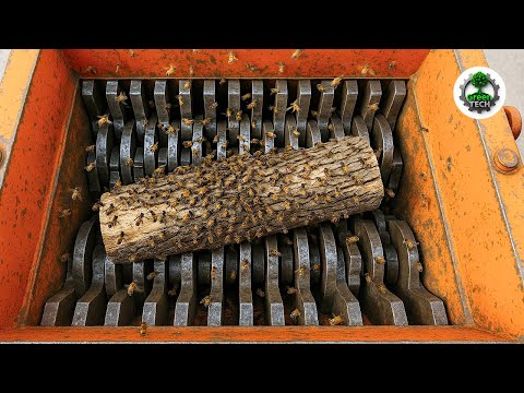 Extreme Dangerous Wood Chipper & Shredder Demolitions: Crushing Everything in Sight! #35