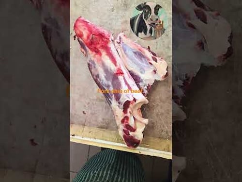 Fore shin of beef debone.