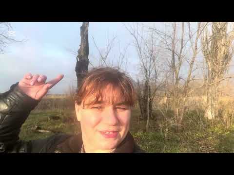 WINTER OYSTER MUSHROOM - A VERY TASTY MUSHROOM 😋🍄🟫