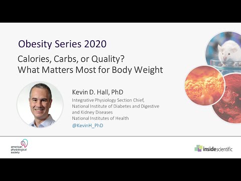 Calories, Carbs, or Quality? What Matters Most for Body Weight