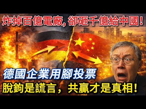 從炸毀電廠到千億投資中國,德國企業用腳投票:脫鉤是謊言,共贏才是真相!