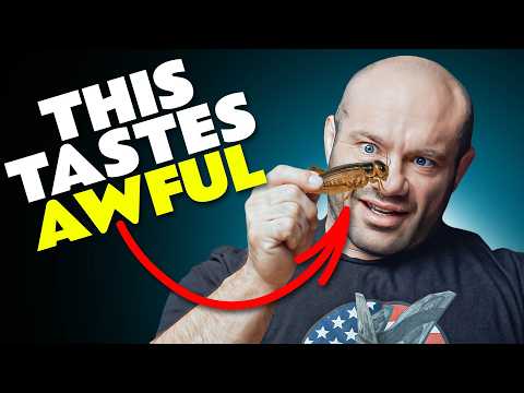 The World's Strangest High-Protein Snacks (Tried & Rated)