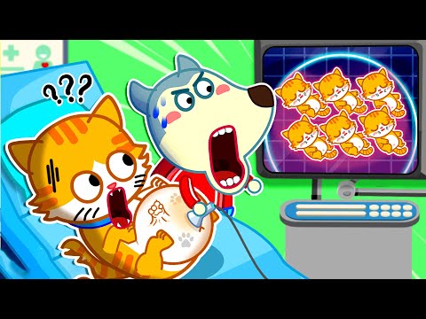 Wolfoo's Cat is Pregnant! How to Take Care of Your Pet | Wolfoo Kids Cartoon