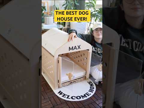 The Best Dog House Ever 🐶✨ @Wooffy_Official