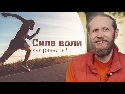 Как развить силу воли? Где взять энергию, чтобы стать лучше?