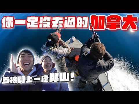 最靠北的加拿大!跟著極圈居民出海打獵吃生肉!